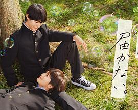 中国铁塔首次亮相MWC上海 展示数字新基建共享发展新成果